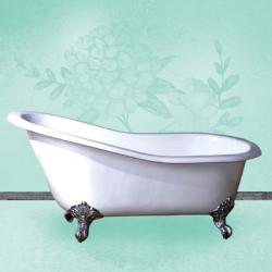 Mint Tub | Obraz na stenu