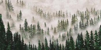 Misty Forest | Obraz na stenu
