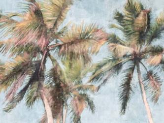 Fun Palms | Obraz na stenu