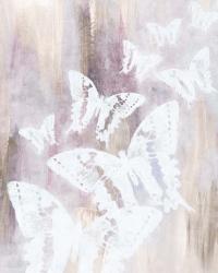 Bright White Butterflies II | Obraz na stenu