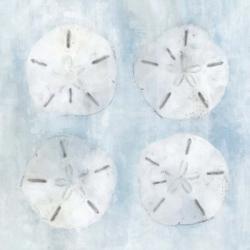 Sand Dollars II | Obraz na stenu