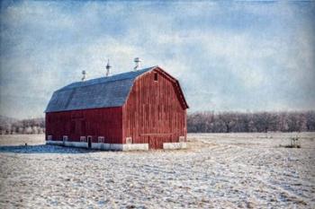 Morning on the Farm | Obraz na stenu