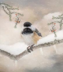 Chilly Chickadee | Obraz na stenu