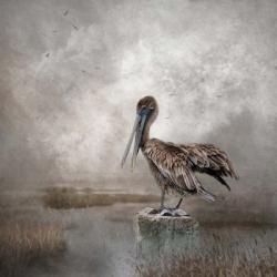 Visitor to the Marshes | Obraz na stenu