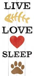 Live Love Sleep | Obraz na stenu