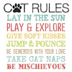 Cat Rules | Obraz na stenu