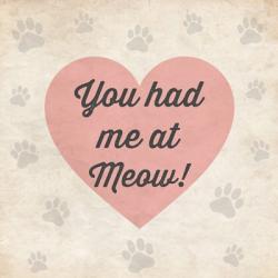 You had Me at Meow! | Obraz na stenu