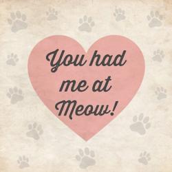 You had Me at Meow! | Obraz na stenu