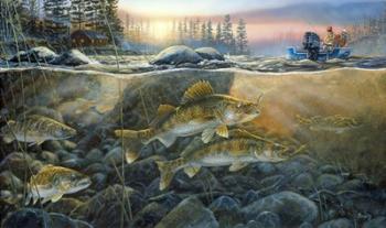 Walleyes On The Rocks | Obraz na stenu