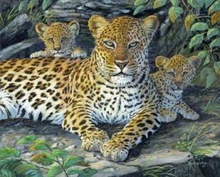 Leopards' Lair | Obraz na stenu