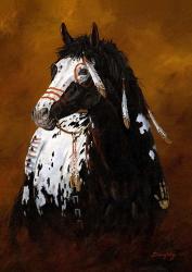 Sioux War Pony | Obraz na stenu
