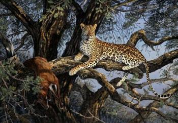 Leopard | Obraz na stenu