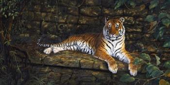 Temple Tigress | Obraz na stenu