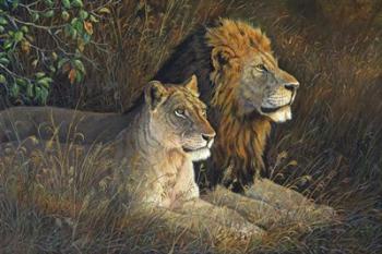 Lions Domain | Obraz na stenu