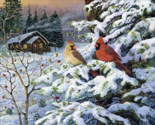 Winters Warm Glow Cardinals | Obraz na stenu