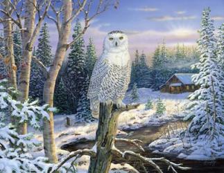 Whispering Ridge Snowy Owl | Obraz na stenu