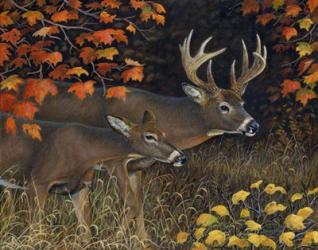 Scent of Autumn | Obraz na stenu