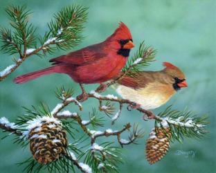 Winter Morning Cardinals | Obraz na stenu