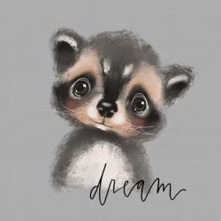 Dream Raccoon | Obraz na stenu