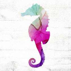 Seahorse | Obraz na stenu