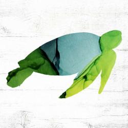 Sea Turtle | Obraz na stenu