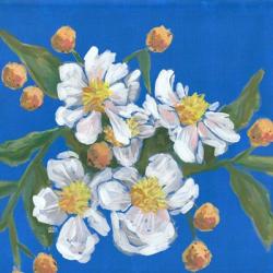 Blue White Flowers | Obraz na stenu