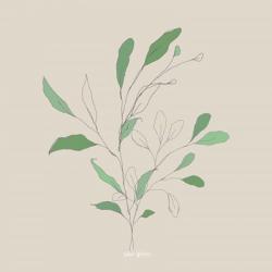 Wispy Leaf II | Obraz na stenu