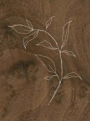 Wispy Wood I | Obraz na stenu
