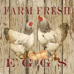 Farm Fresh Eggs II | Obraz na stenu