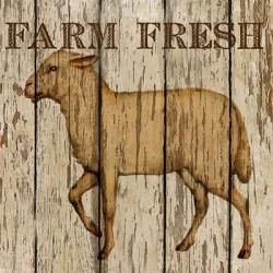 Farm Fresh Lamb | Obraz na stenu