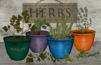 Potted Herbs | Obraz na stenu
