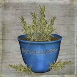 Herb Rosemary | Obraz na stenu