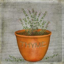 Herb Thyme | Obraz na stenu