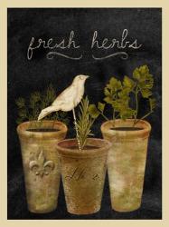 Fresh Herbs | Obraz na stenu