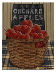 Orchard Apples | Obraz na stenu