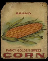 Vintage Corn | Obraz na stenu
