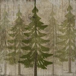 Pines | Obraz na stenu