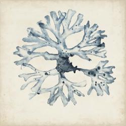 Seaweed Specimens X | Obraz na stenu