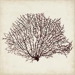 Seaweed Specimens XII | Obraz na stenu