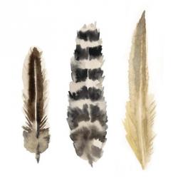 Watercolor Plumes II | Obraz na stenu