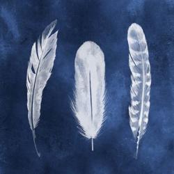 Cyanotype Feathers I | Obraz na stenu