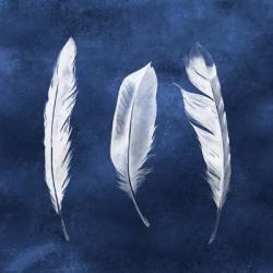 Cyanotype Feathers II | Obraz na stenu