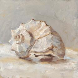 Impressionist Shell Study II | Obraz na stenu