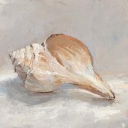 Impressionist Shell Study III | Obraz na stenu