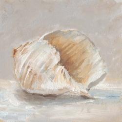 Impressionist Shell Study IV | Obraz na stenu