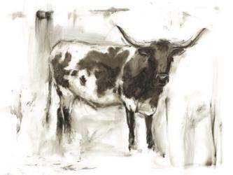 Longhorn Study I | Obraz na stenu