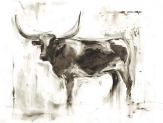 Longhorn Study II | Obraz na stenu