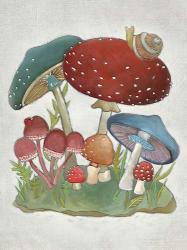 Mushroom Collection I | Obraz na stenu