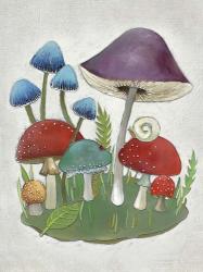 Mushroom Collection II | Obraz na stenu