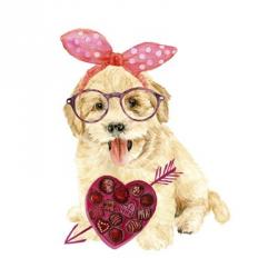 Valentine Puppy IV | Obraz na stenu